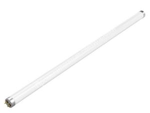 Лампа T8 18W/765 G13 600мм OSRAM Basic L (25) 1