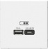 Розетка 2СП ArtGallery б/р USB A+C 45Вт белый GAL000129 1