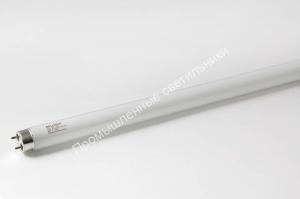 Лампа T8 58W/765 G13 1500мм OSRAM Basic L (25) 1