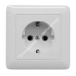 Розетка СП ХИТ з.к.RS16-134-B (20/120) 1